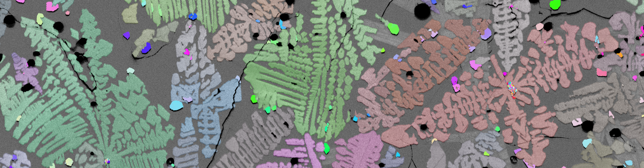 EBSD Kristallorientierungskarte von dendritischem Klinopyroxen und Magnetit in einer Glasmatrix